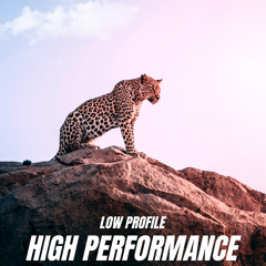 High Performance