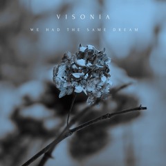 Visonia - We Had The Same Dream