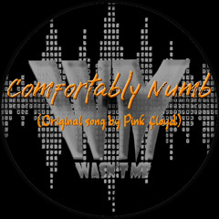 Comfortably Numb - Cover