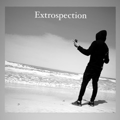 EXTROSPECTION