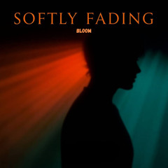 Falling Echoes