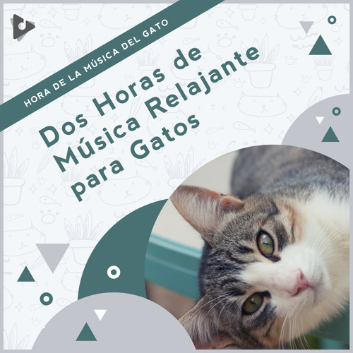 Stream Hora de la Música del Gato | Listen to 2 Horas de Música Relajante  para Gatos playlist online for free on SoundCloud