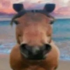 Drum and bass🐴