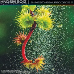 Ying Yang Twins - Salt Shaker (HNDSM Boiz Remix) [SYNESTHESIA RECORDS]
