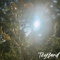 Teyland- Sunshine