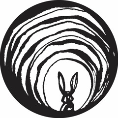 Down the Rabbit Whole