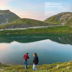 Amés, Nalestar - Wildfire (feat. POOLAID.)