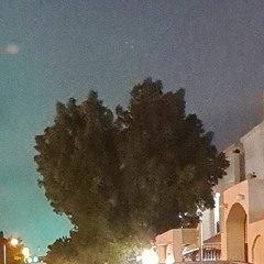 الجريدة | أمجد أبوقصيصة