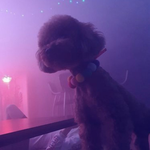 뚜껑 찾아 삼만리 1 (光)