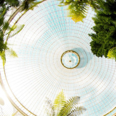 Red Orchid (The Glass House EP)