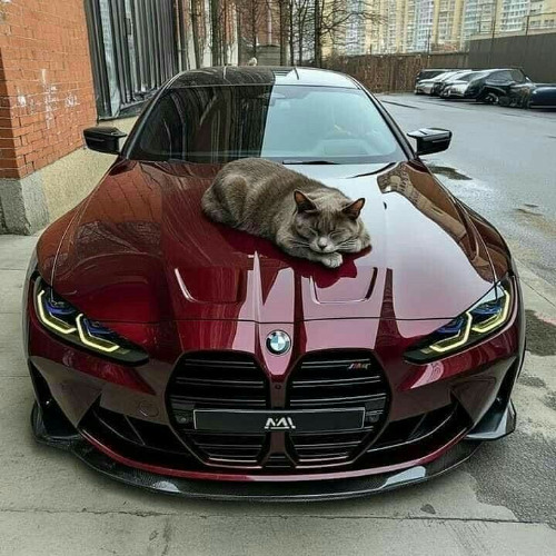 goatzilla notscale + erickosimans + monetochka ты говорила