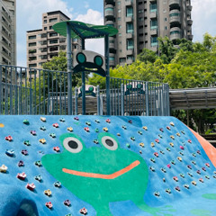 Xinyi dreams