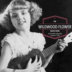 Show #28 8.1.23 John Surge & the Haymakers, Kapali Long, The L.A. River Boys