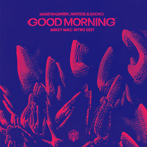 Martin Garrix and Matisse & Sadko - Good Morning (Mikey Mac Intro Edit)
