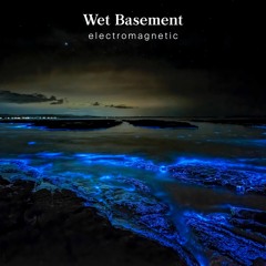 Wet Basement - Electrostatics