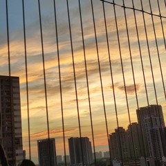 Trái tim ngủ chập chờn