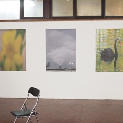 dragonfly #6 **piano special**