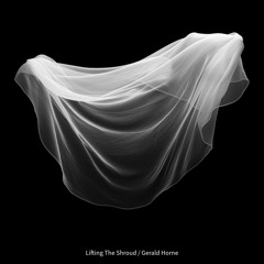 251 / Lifting The Shroud / Gerald Horne