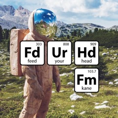 Fead Your Head Mix: Scott Hutchinson