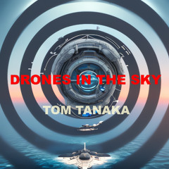Drones in the Sky