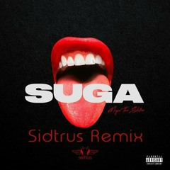 Savage - Megan Thee Stallion (Sidtrus Remix)( Buy Link To Free Download )