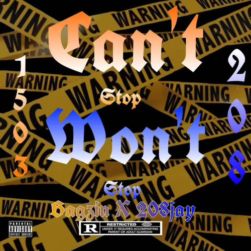 Stream CantStopWontStop(Ft.208Jay) by BAGZIN | Listen online for free ...