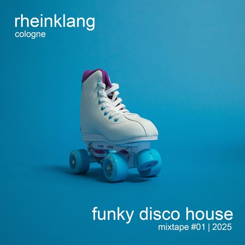 funky disco house - 01 | 2025 [122-125BPM]