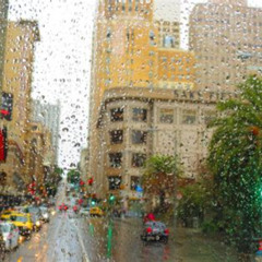 Best Things To Do In San Francisco On A Rainy Day Tours Reviews