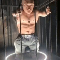 gay