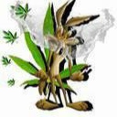 dj sam'x 230 mix shatta bouyon 2021