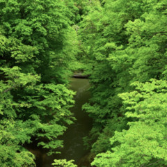 The Prayer // Damiin & Kadrienne