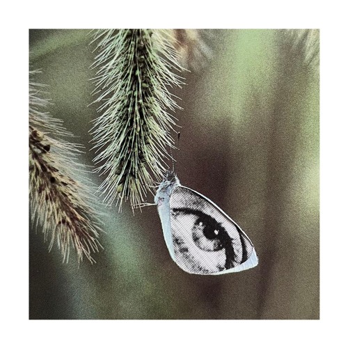 lubby - Backyard Function