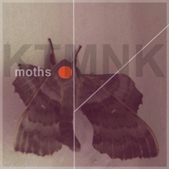Wiederstand / moths