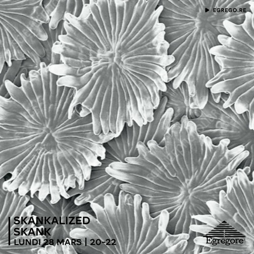 Skankalized - Skank (Mars 2022)