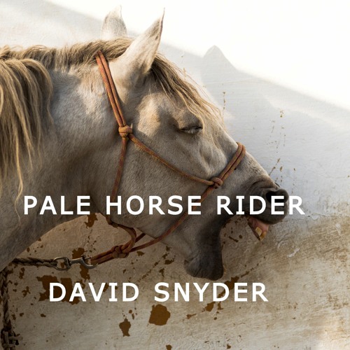 Pale Horse Rider by Mark Jacobson Pale Horse Rider by Mark Jacobson