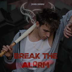BREAK THE ALARM