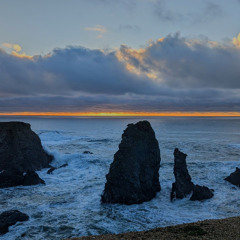 SoundScape aux aiguilles de port coton