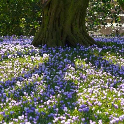 Stream BLADEE PLASTIC SURGERY X WALLET WON'T FOLD by ‿︵‿︵ʚɞ Listen