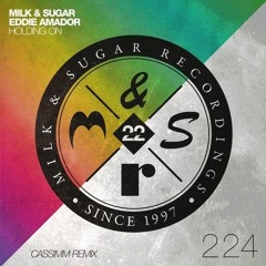 Eddie Amador, Milk & Sugar - Holding On (CASSIMM Remix)