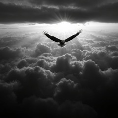 Eagle’s Flight