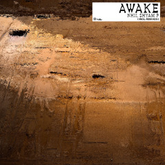 PREMIERE: Nhii, Shyam P - Awake [Sounds of Khemit]