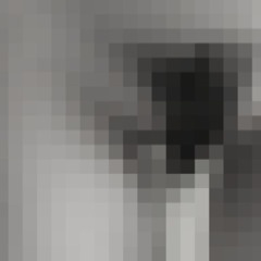 vote bush (unpolished mix)