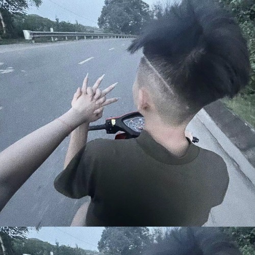 Anh Vuii