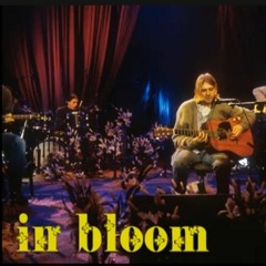 Nirvana - in bloom (MTV Unplugged)