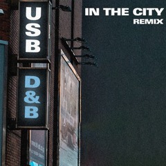 In the City - BassTripper (USB BOOTLEG)
