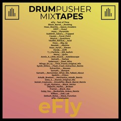 MixTape (eFly)