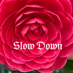 Slow Down Prod. by Lowtyde
