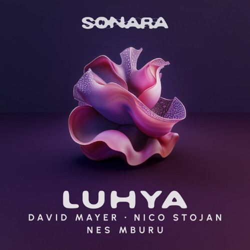 Premiere: David Mayer & Nico Stojan feat. Nes Mburu - Luhya (Extended Mix) [SONARA Records]