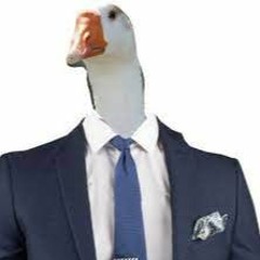 goose got me loose