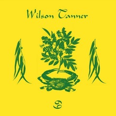 Wilson Tanner  "Sun Room" (lyoner Retouch Mix)